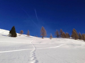  Appartamento Saslonch 21  Моэна